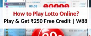 how-to-play-lotto-online