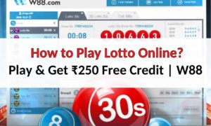how-to-play-lotto-online
