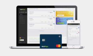 W88 Review: All about ecoPayz India, Review, Fees, and more