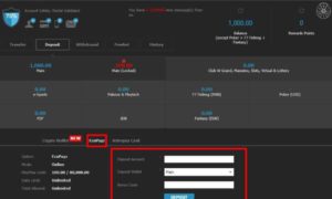 How to ecoPayz deposit + ecoPayz withdrawal India tips