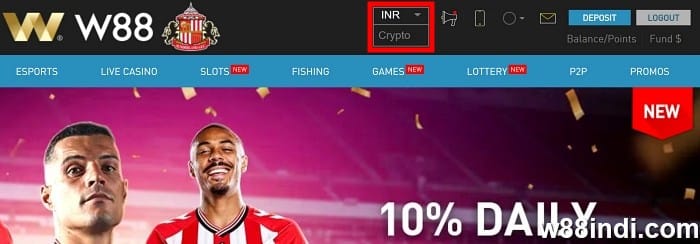 ecopayz india switch from inr to crypto