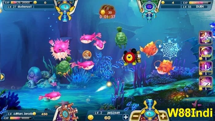 Top 4 fishing master tips for beginners - Win ₹ 300 free bet