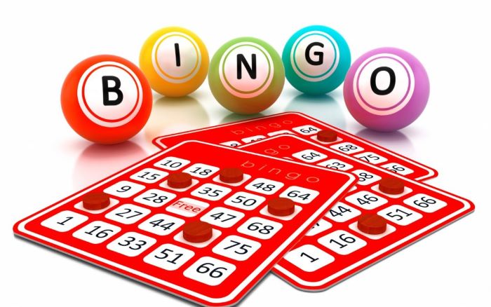How to play the bingo game - 100% tested guide for beginners