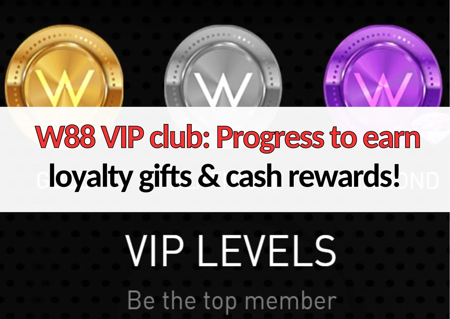 Khám Phá https//w88go.vip/ - Hành Trình Giải Trí Hấp Dẫn