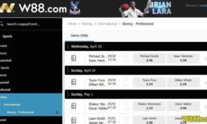 W88-how does boxing betting works-08