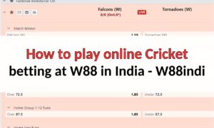 How to play online cricket betting at W88