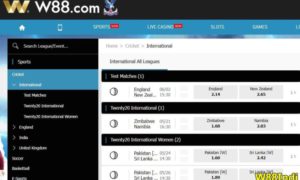 W88-is online cricket betting legal in india - 04