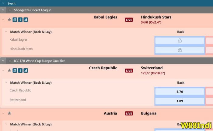 how-to-earn-money-in-cricket-betting-03