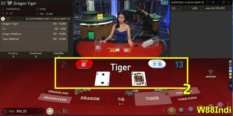 how-to-play-dragon-tiger-online-06