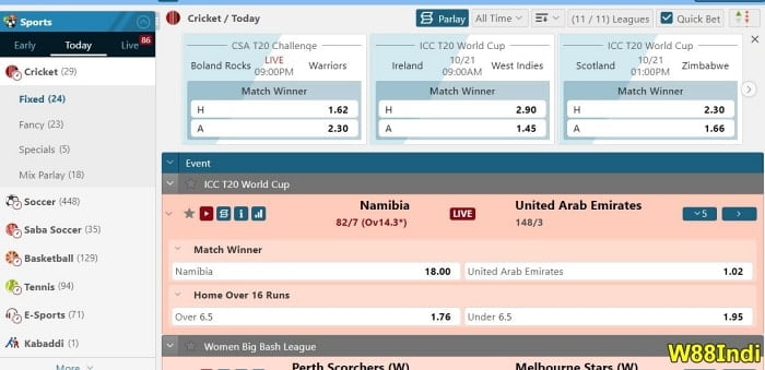 cricket-betting-winning-strategy-01