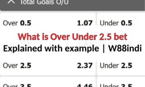 what is over under 2.5 bet in sportsbook