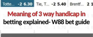 Meaning of 3 way handicap