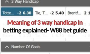 Meaning of 3 way handicap