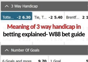 Meaning of 3 way handicap in betting explained- W88 bet guide