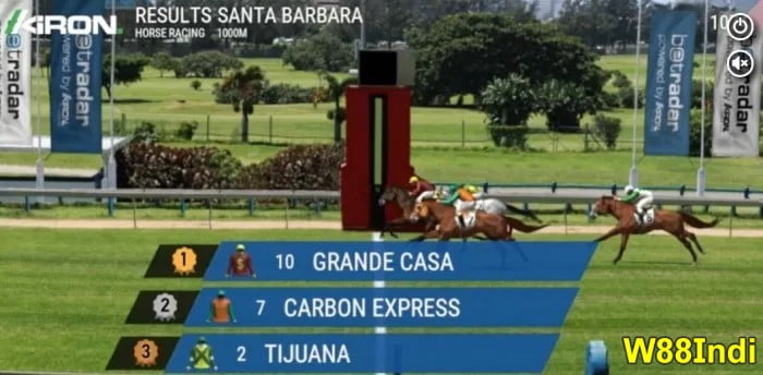 tips for horse race betting by w88indi pros for rookies