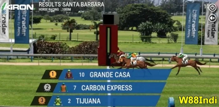 tips for horse race betting by w88indi pros for rookies