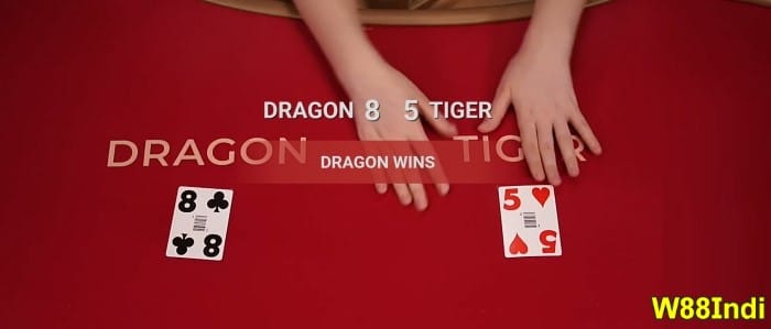 dragon vs tiger game winning tricks and tips