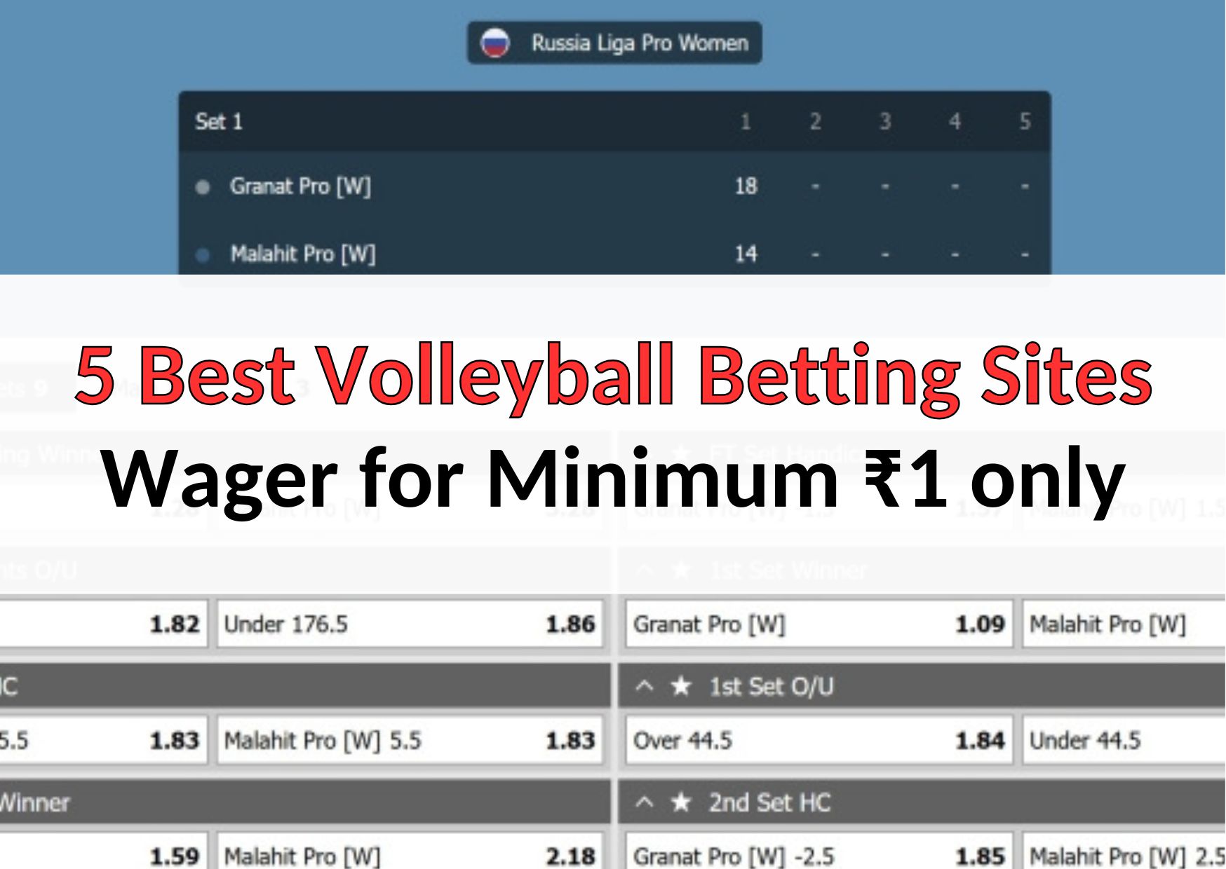 5 Best Volleyball Betting Sites