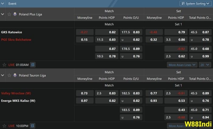 betting strategies and volleyball expert tips you should use