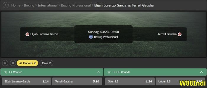boxing betting guide for beginners with strategies