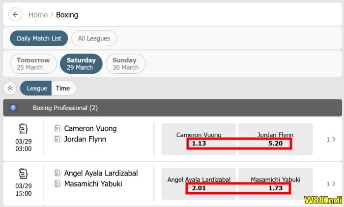 boxing betting odds explained for new players