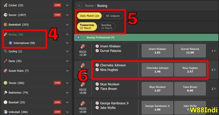 step 2 boxing betting guide for beginners
