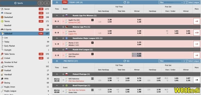 volleyball expert tips for new players online