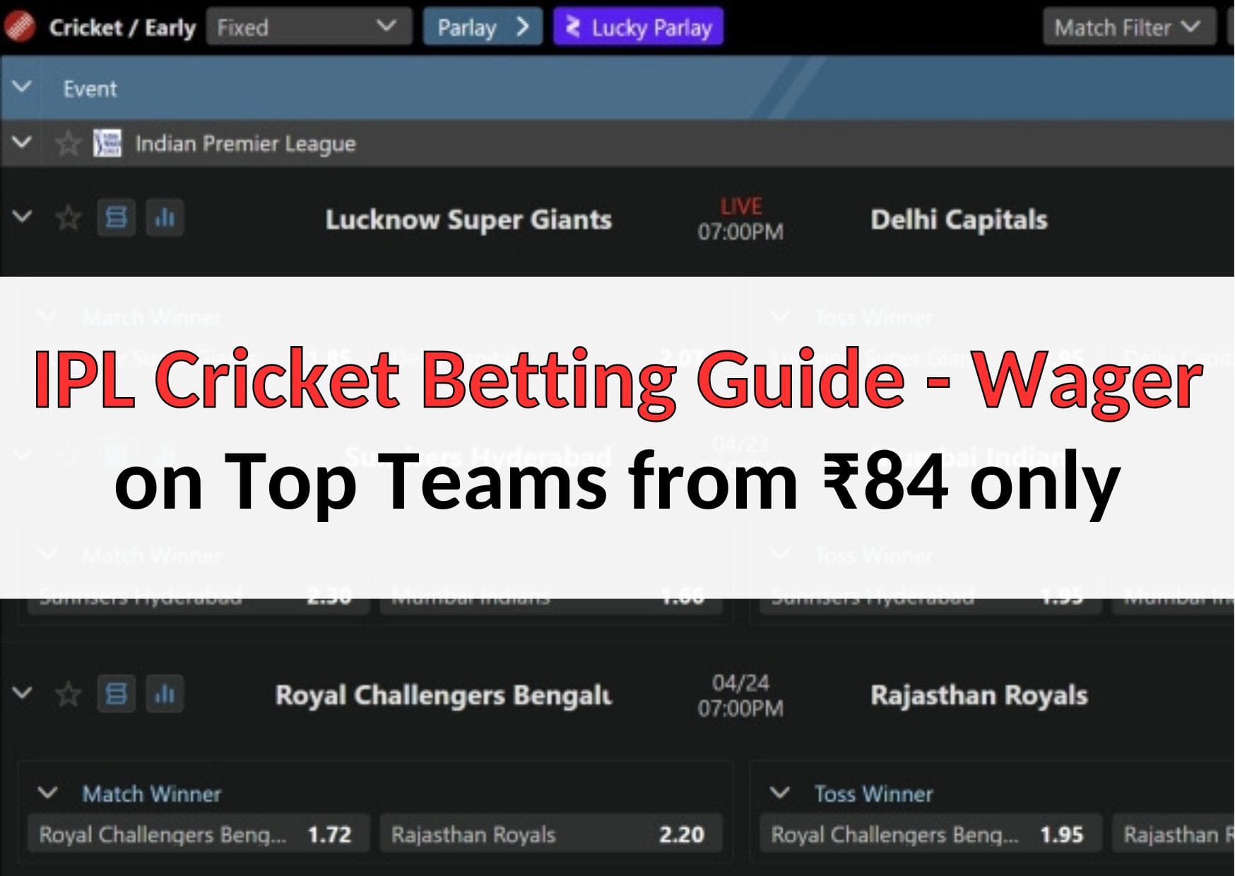 IPL Cricket Betting Guide online