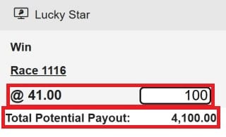 example 1 bet on horse race betting odds explained