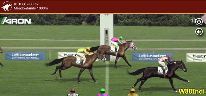 horse race betting cheat sheet everything you should know