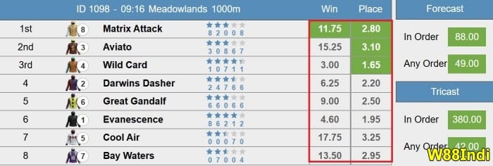 horse race betting odds explained by experts