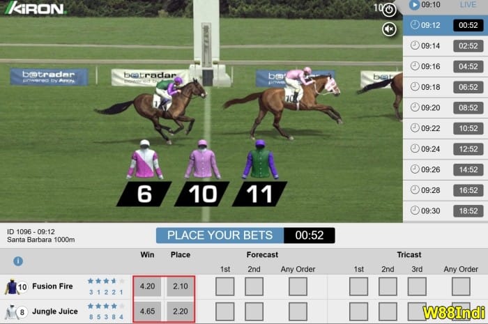 horse race betting odds explained for beginners