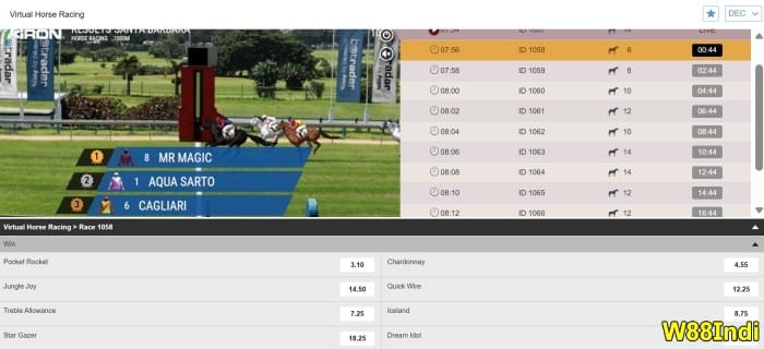 horse race betting rules for beginners