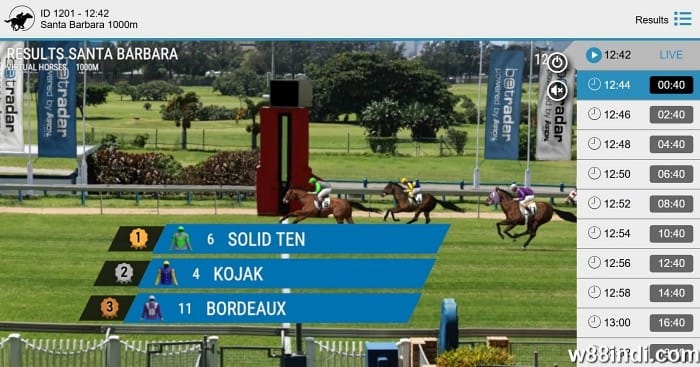 how to win in horse betting tips and tricks