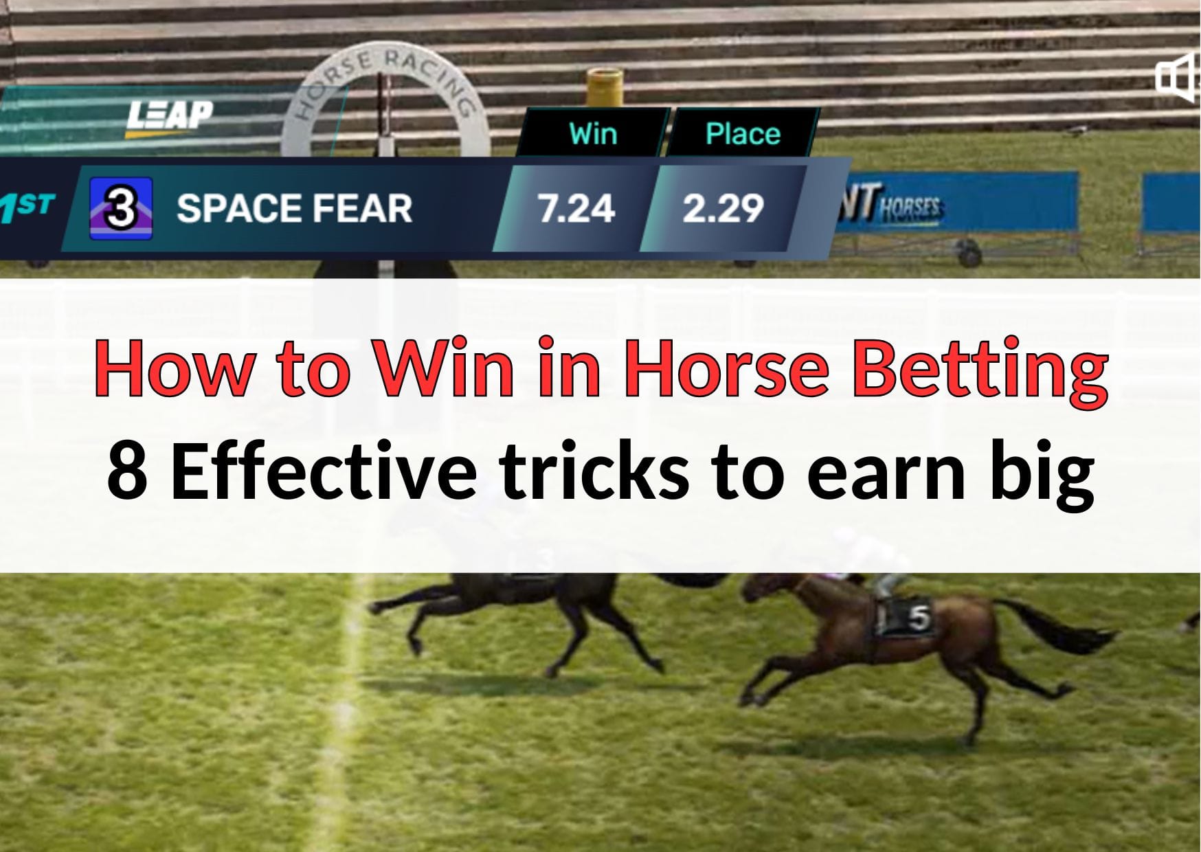 how to win in horse betting