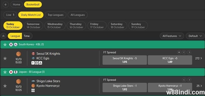 basketball betting terms learn the meaning of sportsbook lingo