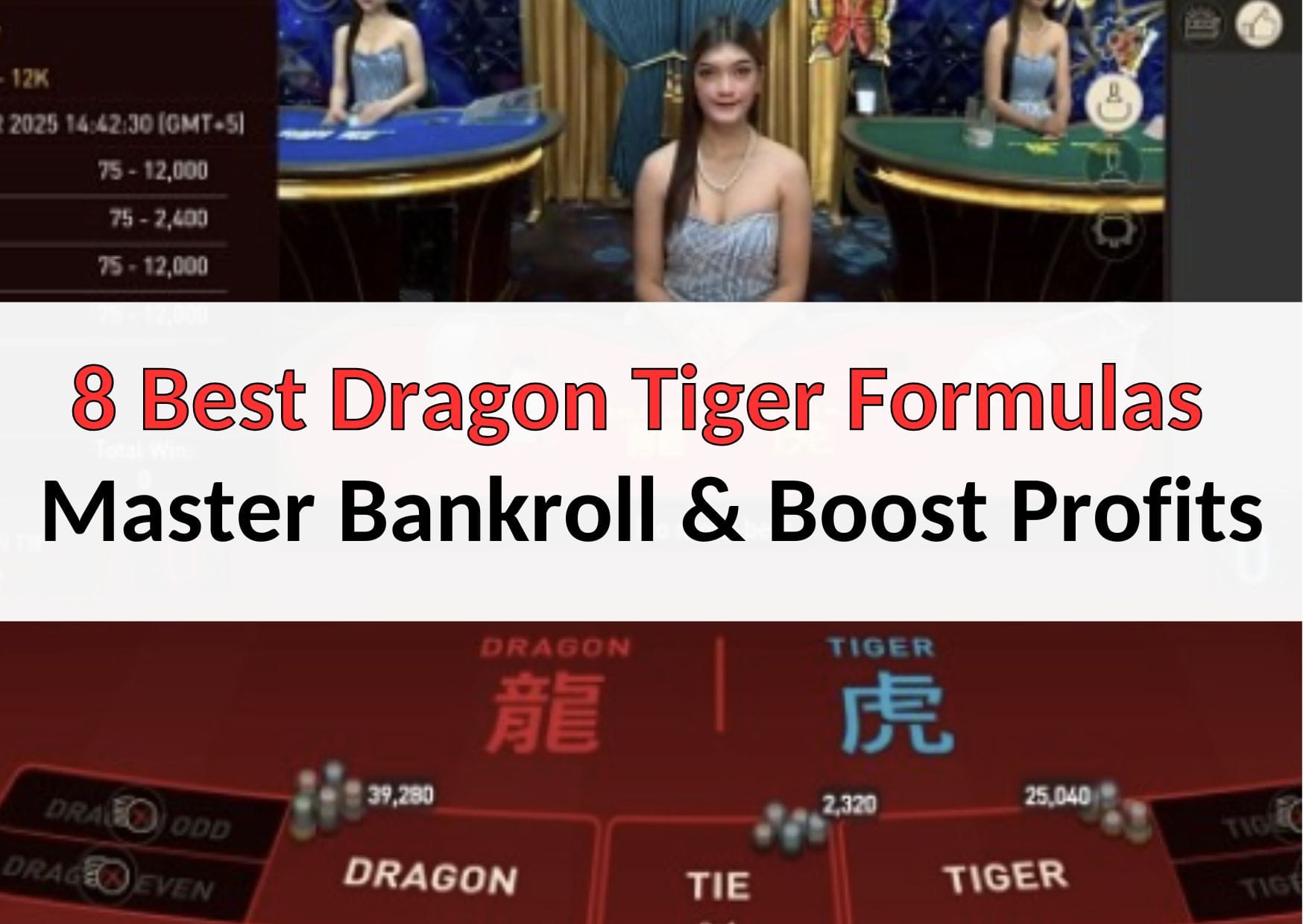 dragon tiger formula to win