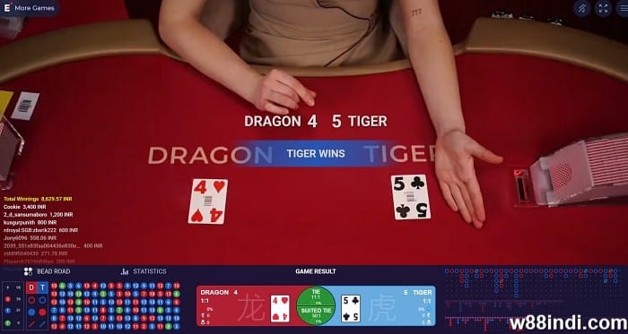 dragon vs tiger who wins know the truth