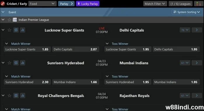 ipl cricket betting guide for beginners