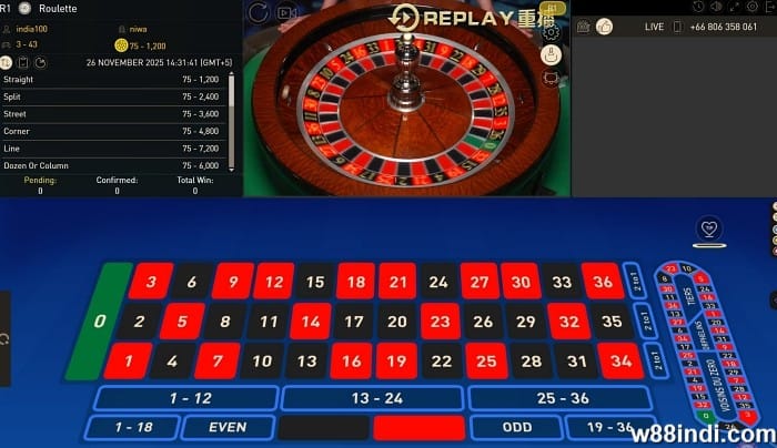 roulette terms explained for beginners