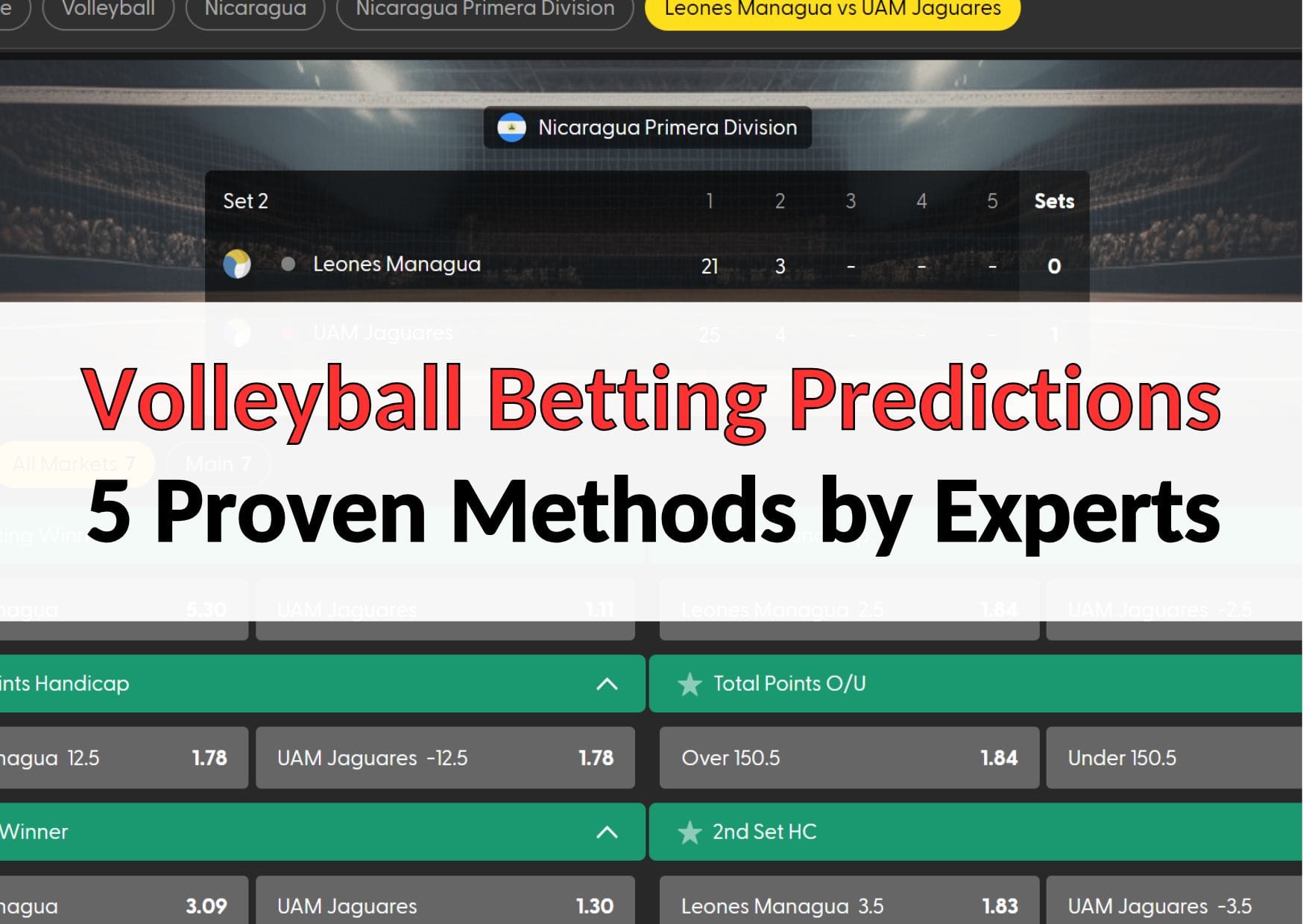 5 ways for volleyball betting predictions (1)