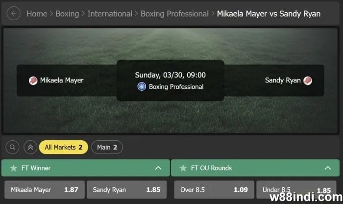 best boxing betting tips by experts
