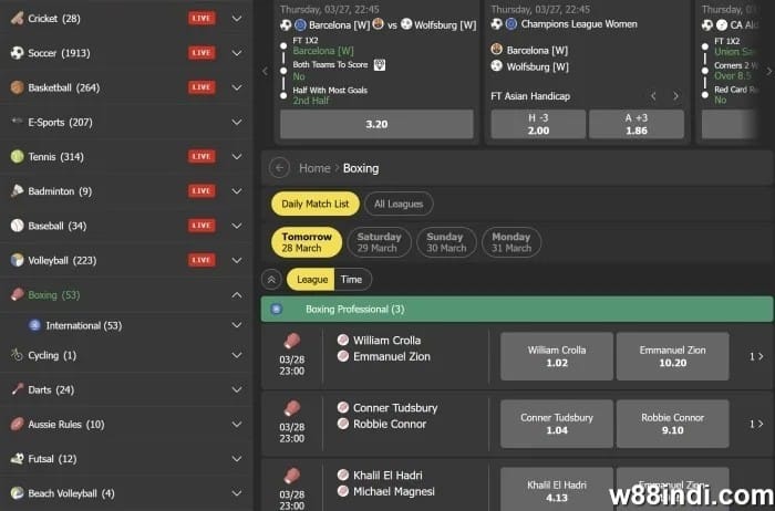 best boxing betting tips for beginners