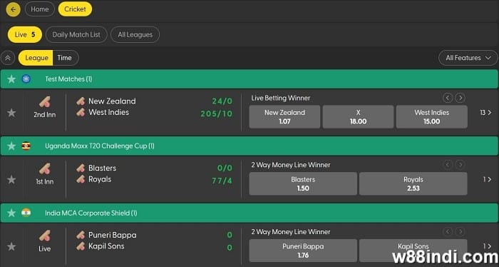 cricket betting terms explained for beginners