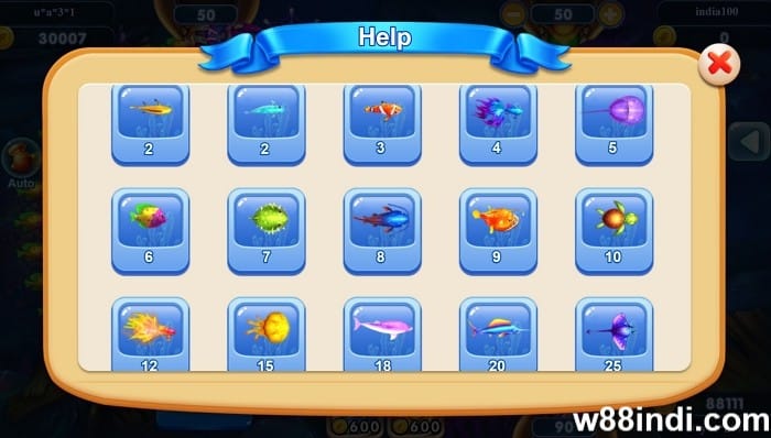 fishing master guide basic rules explained