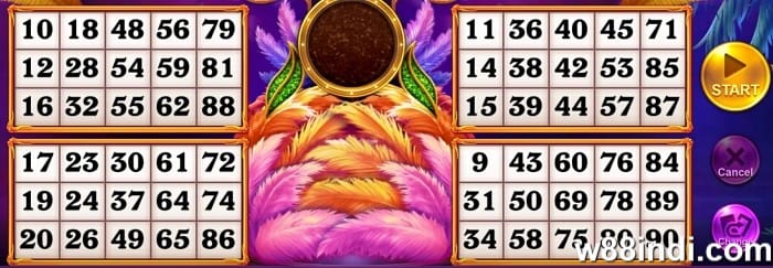 bingo app download how to download
