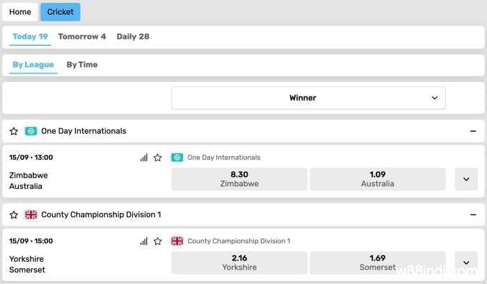 cricket-betting-at-1st-sport-w88