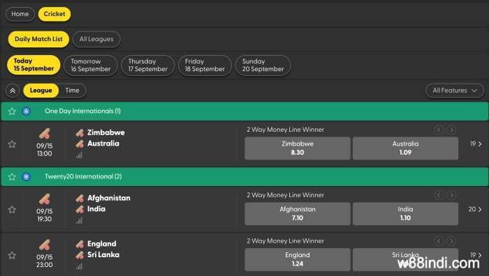 cricket-betting-options-at-bti-w88-india