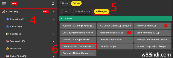 select-t20-world-cup-league-under-cricket