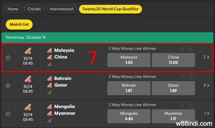 select-the-match-you-want-to-bet-on